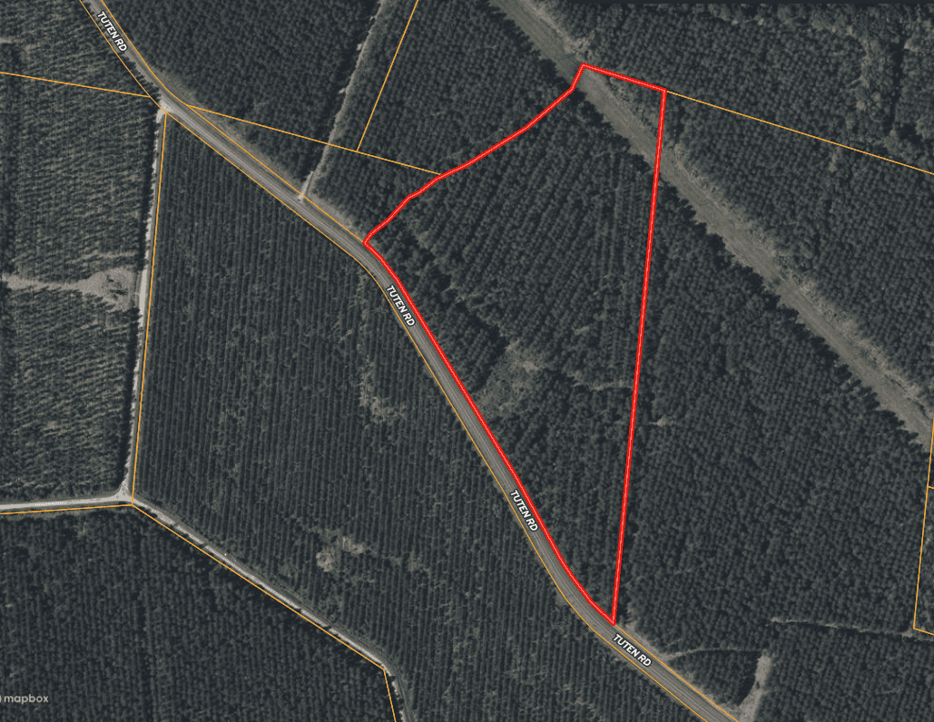 21 Acres Timberland & Hunting Near New Bern NC